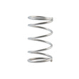 Allen Firm Stainless Steel Spring