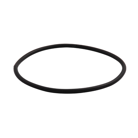 Allen Rubber O-Ring For Hatch A.337